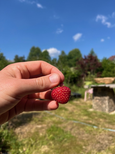 Gourmet Wahnsinn – Wer ich bin. Was das soll. Was hier passiert. Und was du davon&nbsp;hast